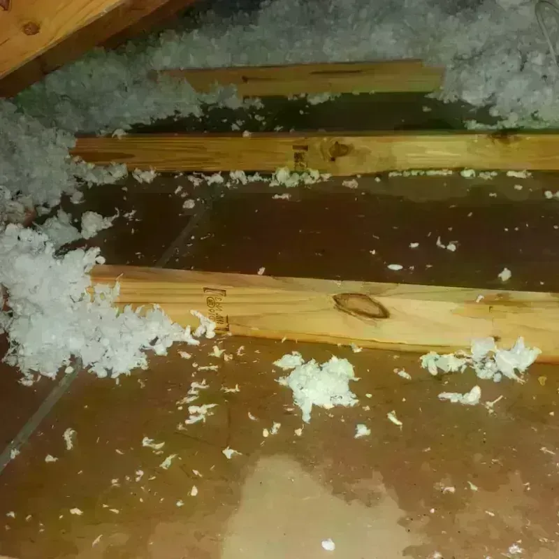 Attic Water Damage in Springfield, SD