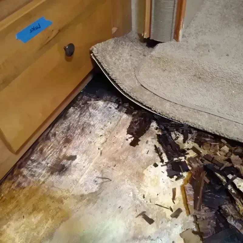 Wood Floor Water Damage in Springfield, SD